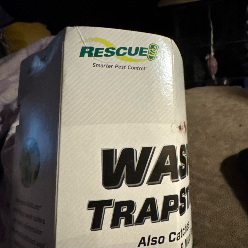 Wasp Trap - Picture 2 of 3